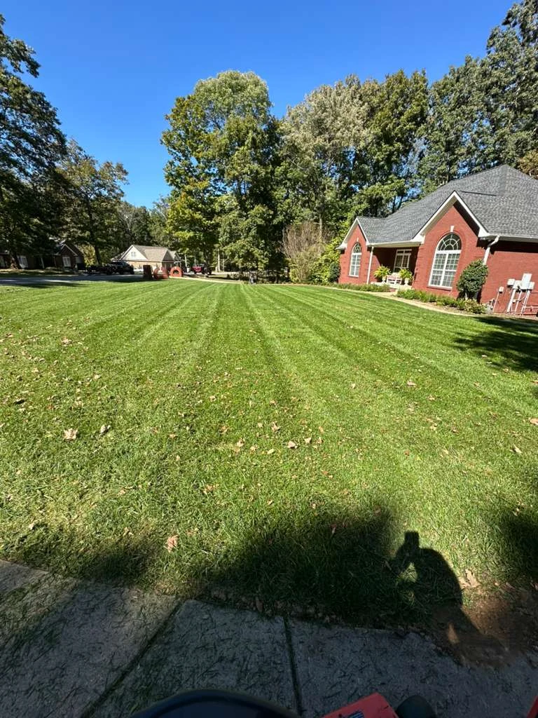 TYM Landscaping project 3