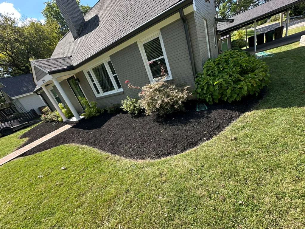 TYM Landscaping project 5