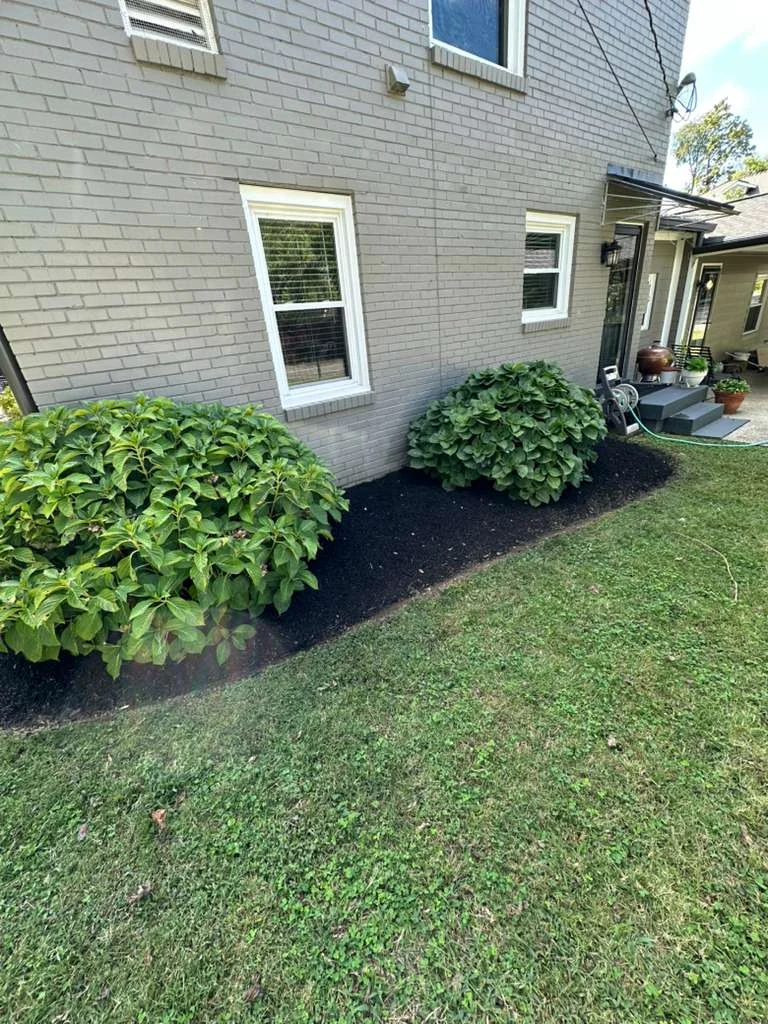 TYM Landscaping project 6