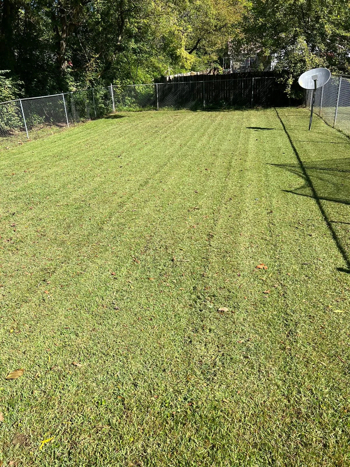 TYM Landscaping project 7