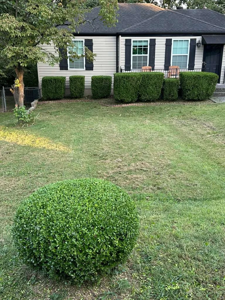 TYM Landscaping project 8