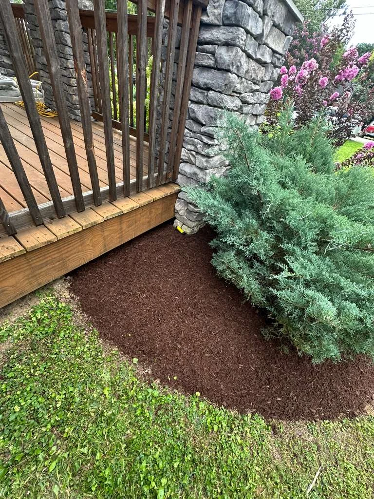 TYM Landscaping project 12