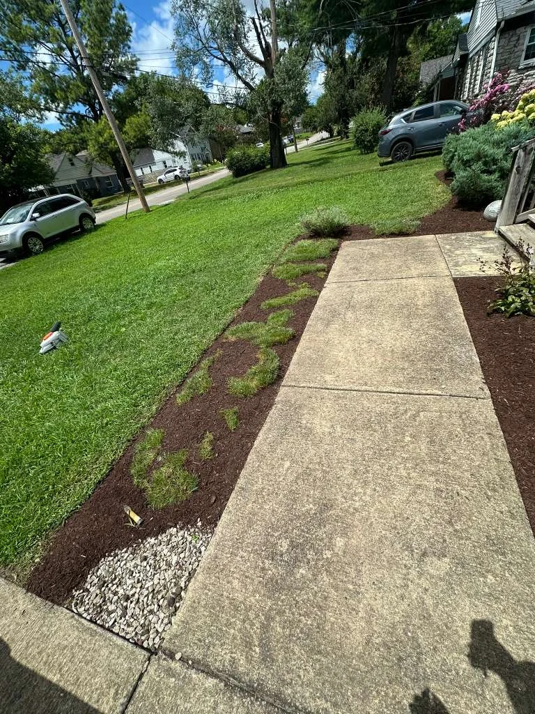 TYM Landscaping project 15