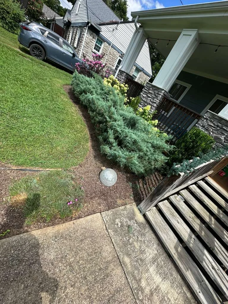 TYM Landscaping project 17