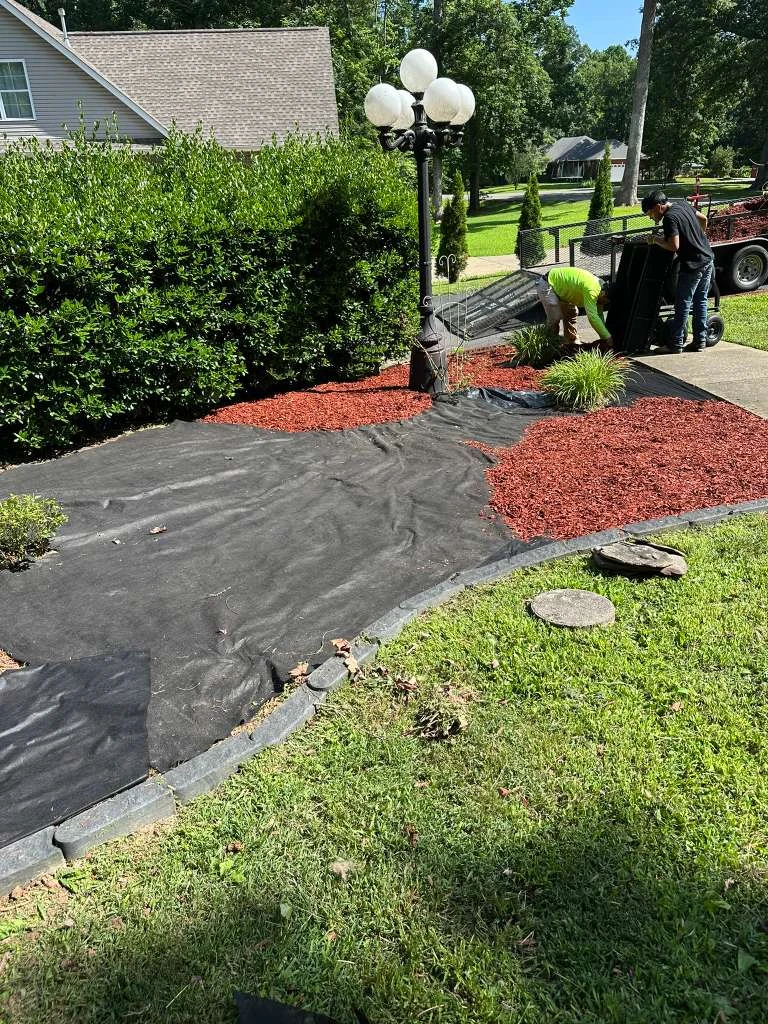TYM Landscaping project 24