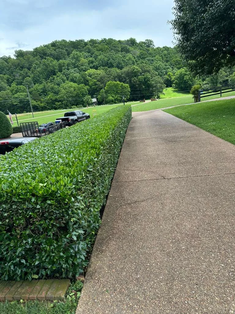 TYM Landscaping project 25
