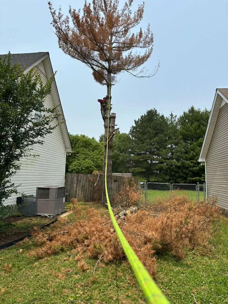 TYM Landscaping project 29