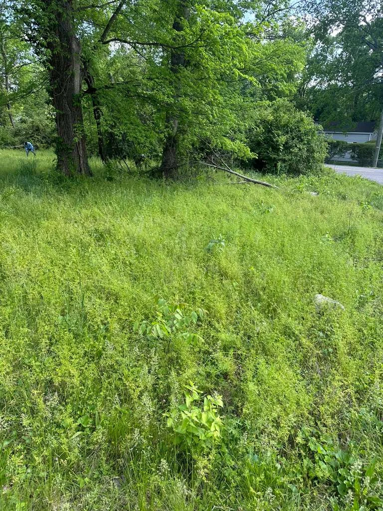 TYM Landscaping project 40