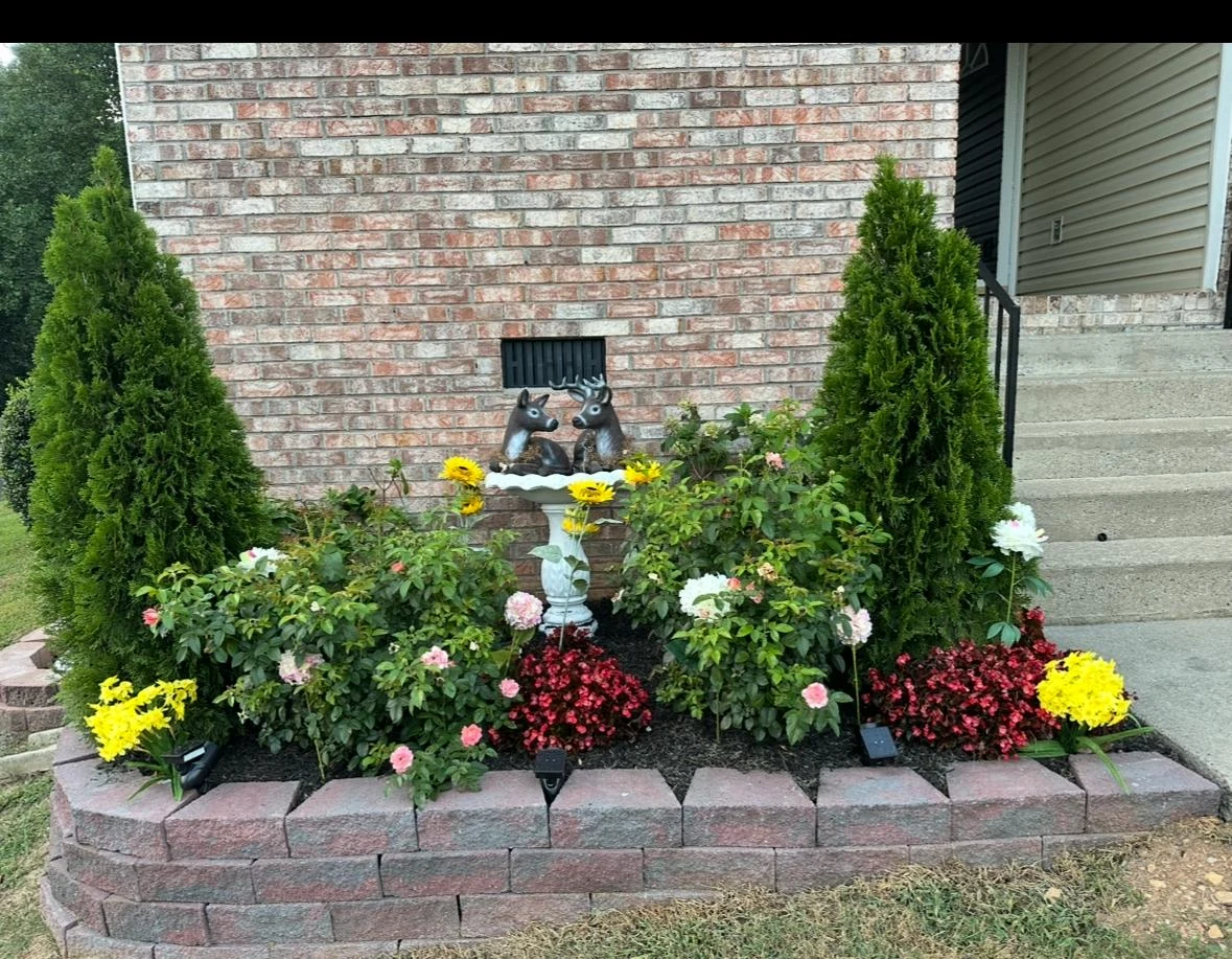 TYM Landscaping project 43