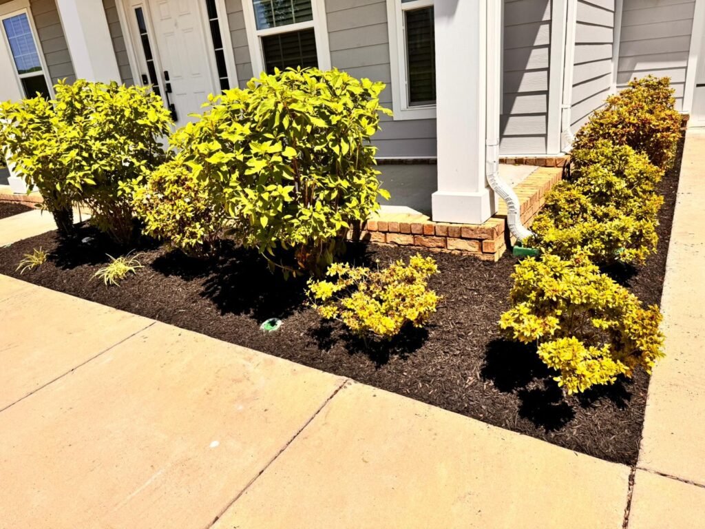 Landscaping Services