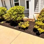 Landscaping Services