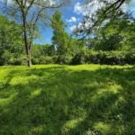 Landscaping Services