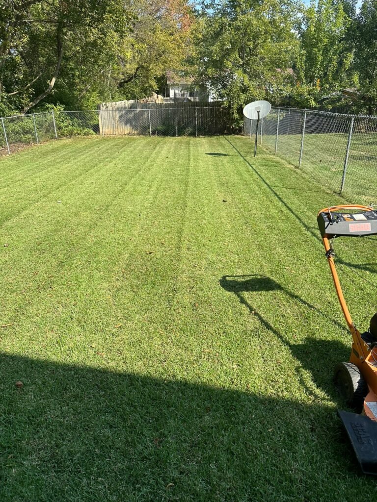 Yard Maintenance